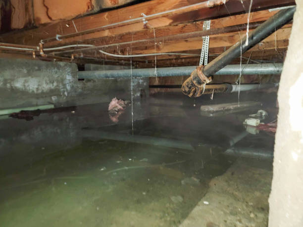 Best Sewage cleanup and water damage restoration  in Clarks Summit, PA