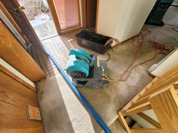 Best Local water damage restoration  in Clarks Summit, PA