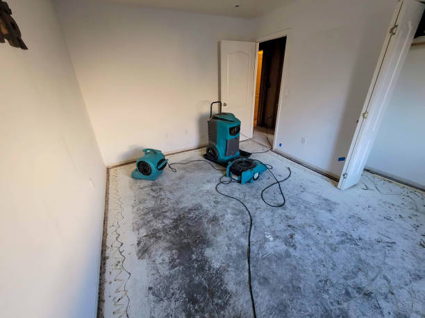 Best 24-hour water damage restoration  in Clarks Summit, PA