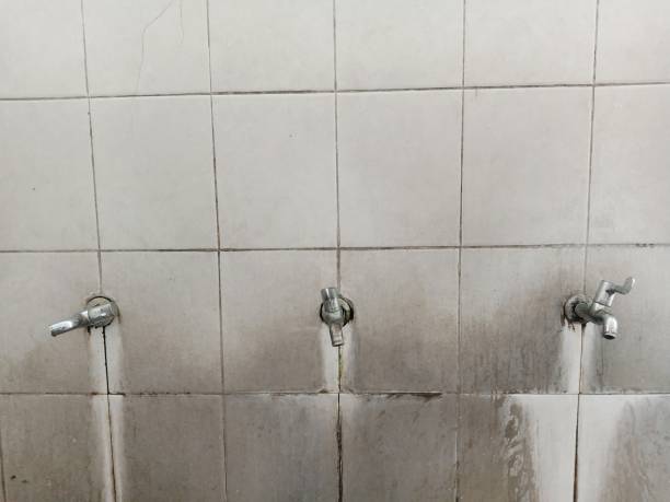 Best Carpet water damage restoration  in Clarks Summit, PA