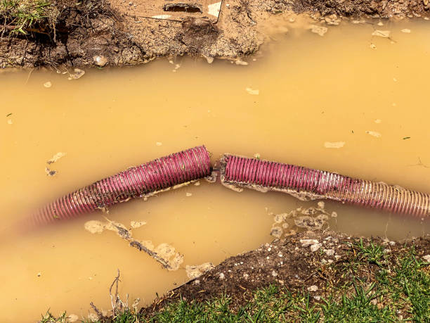 Best Water damage contractors near me  in Clarks Summit, PA