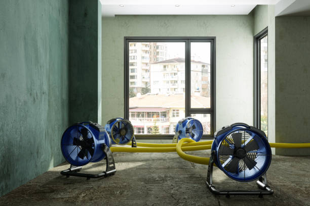 Best Ceiling water damage repair  in Clarks Summit, PA